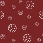 Year 8 Netball v Roundhay