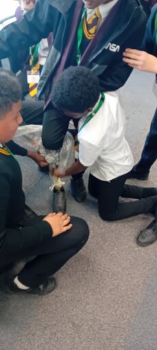 d9bb0f57-d12e-4647-84a5-0ab454ddc5f1