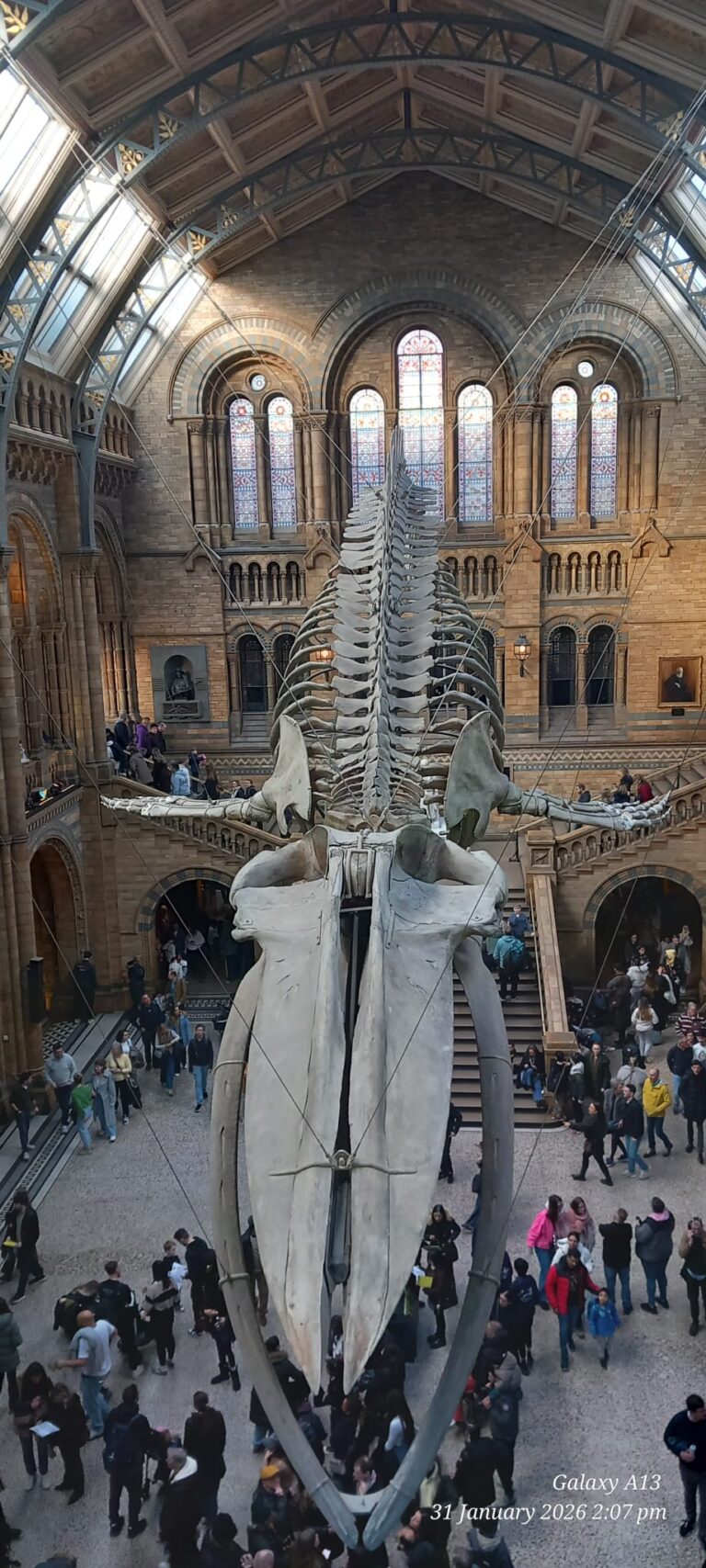 9a9195a9-5506-40ed-977c-bc7ff4a07a28