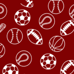 Sports Day 2026